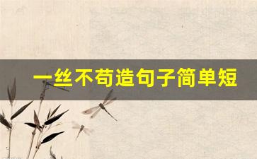 一丝不苟造句子简单短句_一丝不苟造句子简单短句二年级