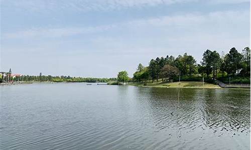 上海美兰湖景区_上海美兰湖景区门票多少钱