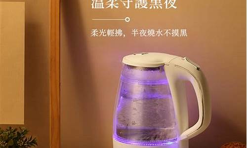 中国十大电热水壶品牌_中国十大电热水壶品