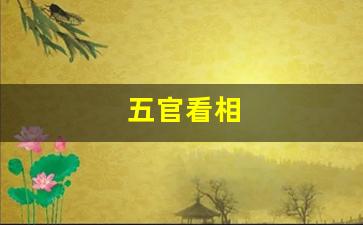 五官看相(五官看相哪里最重要)-第1张图片-个人技术分享
