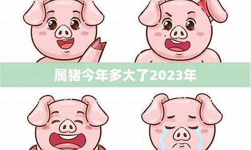 2021生肖猪今年几岁