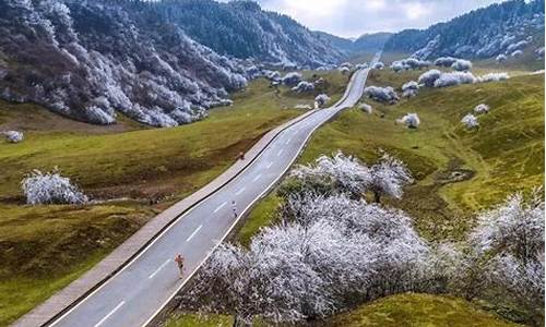 仙女山旅游攻略冬季_仙女山旅游攻略冬季景