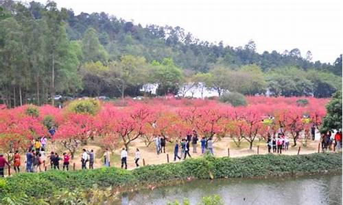 佛山近郊自驾游一天_佛山近郊自驾游一天免费景点