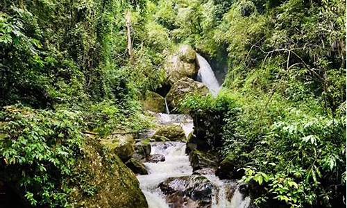 保山高黎贡山旅游攻略_保山高黎贡山旅游度假区