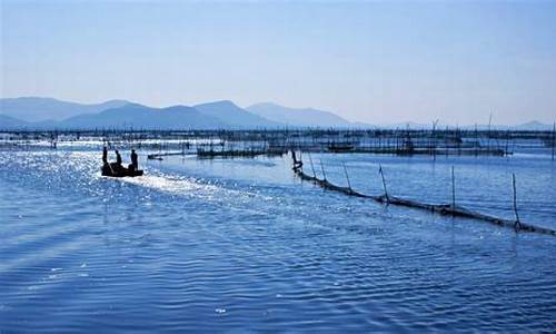 北海道渔场_北海道渔场成因