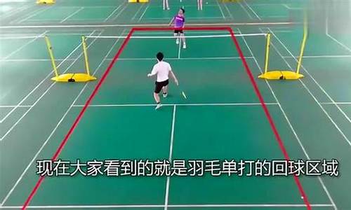 单打羽毛球的规则_单打羽毛球的规则及打法