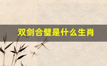 双剑合璧是什么生肖(双剑合璧的是什么意思)-第1张图片-个人技术分享
