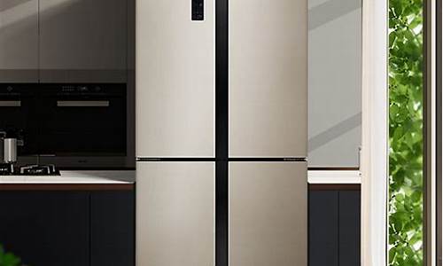 口碑和质量最好的冰箱品牌_最好冰箱品牌前