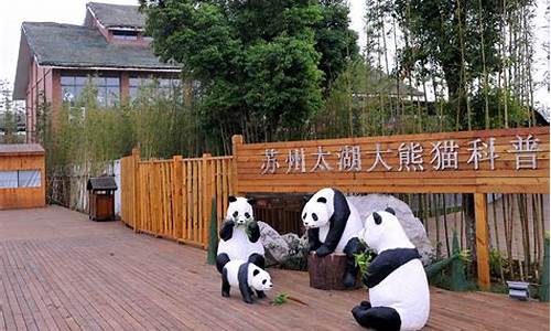 太湖湿地公园熊猫_太湖湿地公园熊猫馆
