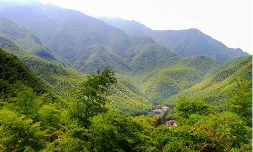 安吉旅游景点大全_浙江安吉旅游景点大全