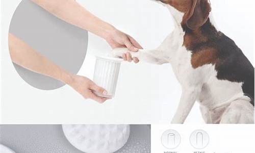 宠物洗涤用品指南：关爱宠物的清洁护理