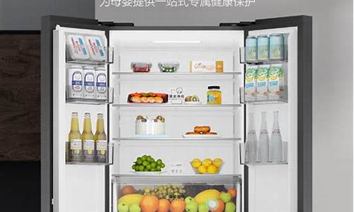 家用冰箱什么品牌最好排名前十名_家用冰箱