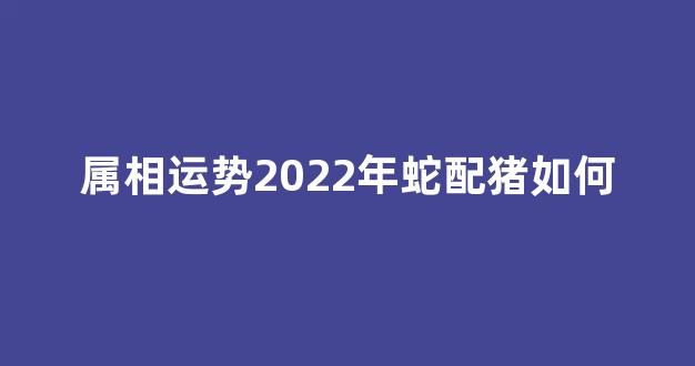 八八大万也有意打最佳什么生肖,经典释义词语解释!