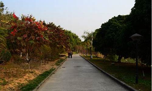 广州龙头山公园_广州龙头山公园怎么坐车