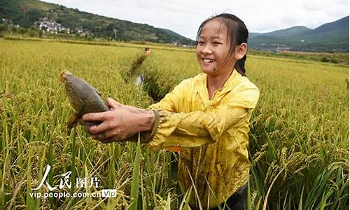 抓鱼(抓鱼机器多少钱一台)-第1张图片-百家姓