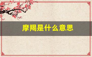 摩羯是什么意思(婚神摩羯是什么意思)-第1张图片-个人技术分享