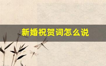 新婚祝贺词怎么说_新婚祝贺词怎么说简短