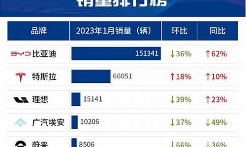 新能源汽车品牌销量_新能源汽车品牌销量排行榜