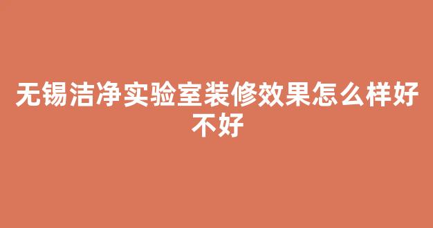 无锡洁净实验室装修效果怎么样好不好(无锡洁净公司)