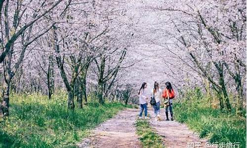 春季旅游景点推荐贵州_春季旅游景点推荐贵州有哪些