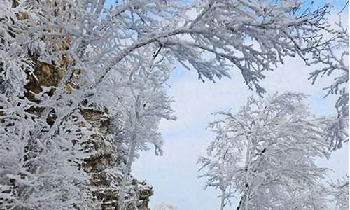 春雪好兆头的句子_春雪好兆头的句子摘抄