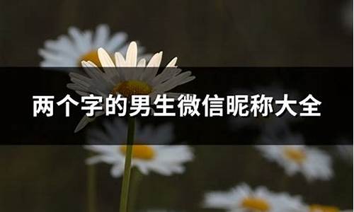 昵称男人专用两个字大全_昵称男人专用两个字大全霸气