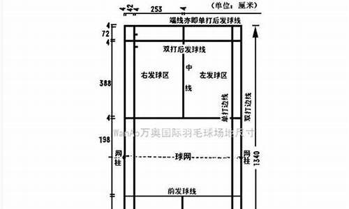 最新羽毛球规则及打法图解_最新羽毛球规则及打法图解视频