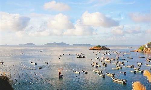 枸杞岛旅游攻略厦门怎么走_枸杞岛和厦门哪个好玩