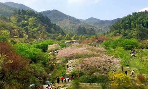 梅岭风景区一日游最佳路线是_梅岭风景区一日游最佳路线是什么