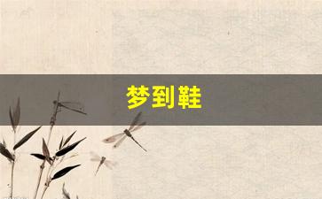 梦到鞋(梦到鞋子脱胶开口了)-第1张图片-个人技术分享