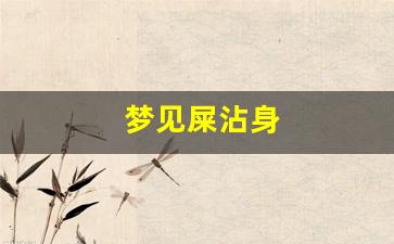 梦见屎沾身(梦见吃屎是什么预兆)-第1张图片-个人技术分享