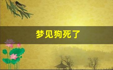 梦见狗死了(梦见狗死了又活过来是什么意思)-第1张图片-个人技术分享