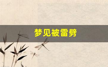 梦见被雷劈(梦见被雷劈中却没有死周公解梦)-第1张图片-个人技术分享