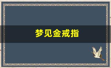 梦见金戒指(梦见金戒指碎了)-第1张图片-个人技术分享