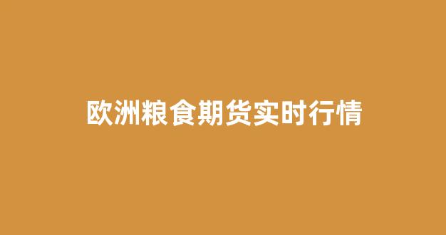 欧洲粮食期货实时行情(欧洲粮食期货实时行情查询)_https://www.ccit-cctv.com_上交所_第1张