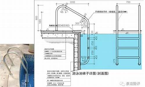 正规的游泳池尺寸_正规的游泳池尺寸是多少_1