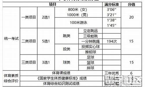 武汉体育中考项目及评分标准2024年_武汉体育中考项目及评分标准2024年