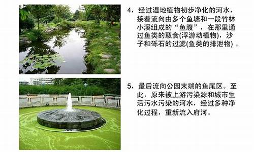 活水公园原理图解_活水公园原理图解大全