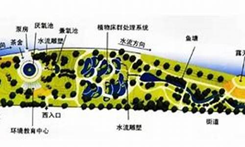 活水公园的水净化系统_活水公园的水净化系统原理图