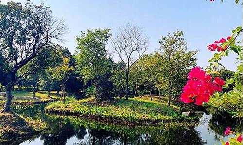 海珠湿地公园什么时候去最好_海珠湿地公园什么时候去最好玩