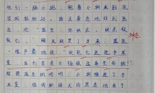 笔尖流出的故事作文500字关于学校的_笔尖流出的故事关于校园的作文500