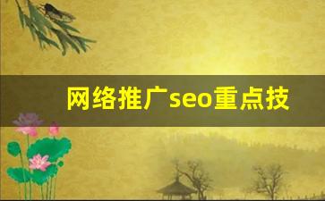 网络推广seo重点技巧(网络推广的流程)