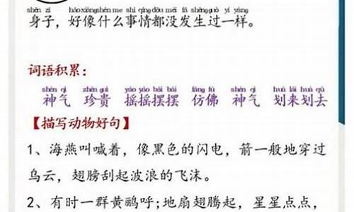 美文朗读精选文章_励志美文朗读精选文章