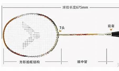 羽毛球拍选购全攻略详解_羽毛球拍选购技巧