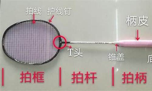 羽毛球拍选购基本知识手册_羽毛球拍选购攻略