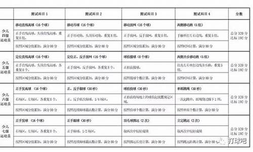 羽毛球运动员等级标准2022_羽毛球运动员等级标准2022年