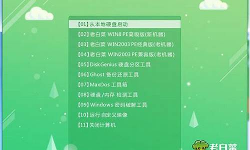 老白菜u盘装系统教程win8_老白菜u盘装系统教程win8能用吗