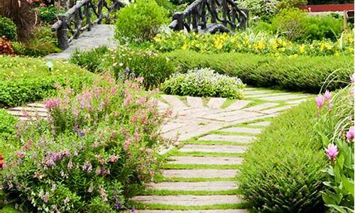 花园植物选择指南：打造多彩多姿的庭院花园
