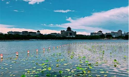 莲花池公园开门时间_莲花池公园开门时间是几点