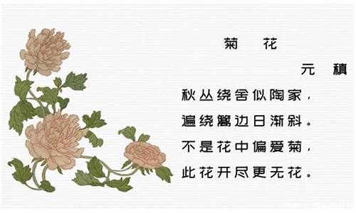 菊花古诗唐元稹_菊花古诗唐元稹带拼音